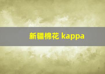 新疆棉花 kappa